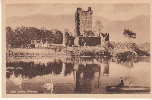 IRL Ross Castle, Killarney ngl C7253