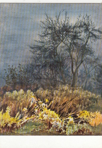 SIEGWARD SPROTTE; Novembergeschehen ngl G3862