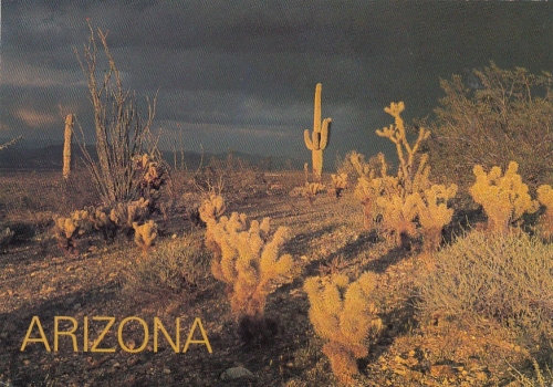 Arizona, Storm at Sunset over the Arizona Desert gl2000 G4125