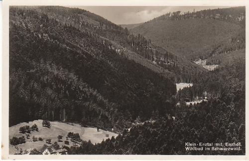 KLein-Enztal mit Enzhof b.Wildbad Schwarzwald ngl C8840