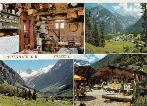 Floite, Zillertal in Tirol, Jausenstation Tristenbachalm, Mehrbildkarte ngl G5028