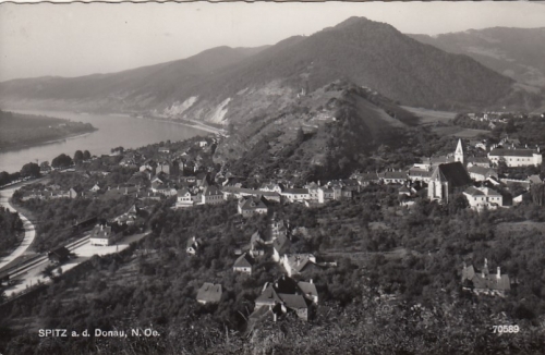 Spitz an der Donau, Niederösterreich, Panorama gl1974 G5141