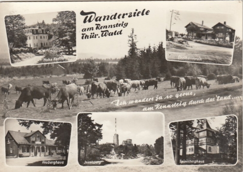 Wandern am Rennsteig, Thür.Wald, Mehrbildkarte ngl G6262