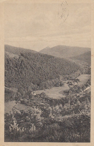 Wernigerode a.Harz Mühlental gl1925 D1001