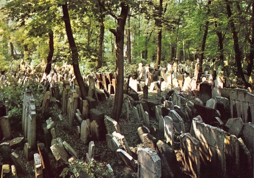 Prag - Jüdischer Friedhof ngl 148.798