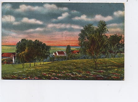Blumenwiese mit Dorf im Hintergrund glca.1920 45.696