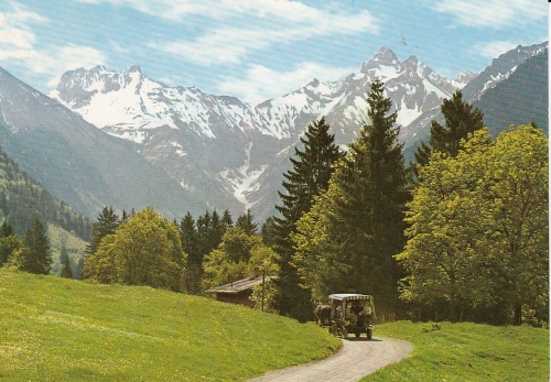Oberstdorf i.Allgäu Blick vom Kühberg Spielmannsautal gl1979 D5159