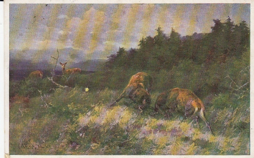 W.GRÄBHEIN Kämpfende Hirsche gl1930 D5698