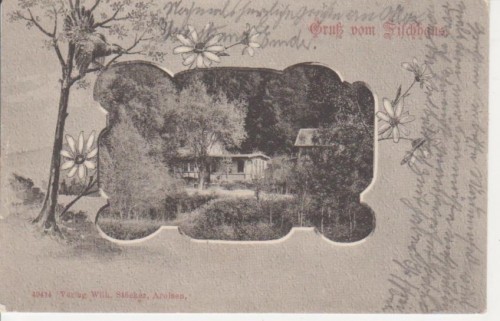 AK Arolsen, Gruß vom Fischhaus gl1907 66.196
