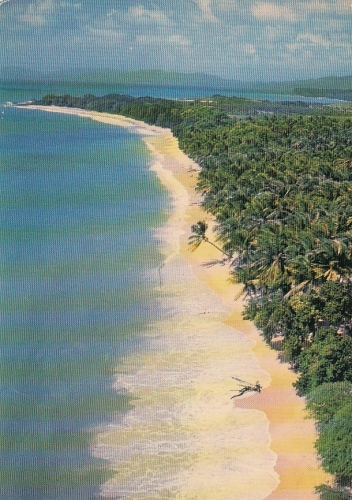 Martnique Plage de Salines gl1977 D7437