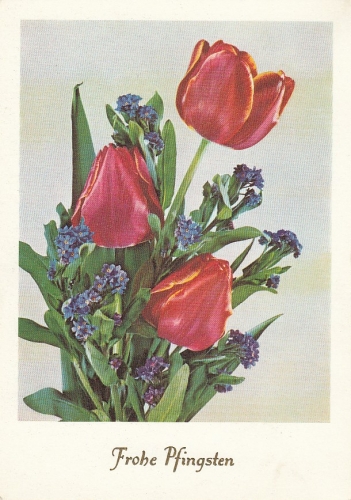 Pfingsten-Wünsche Krug mit Tulpen und Vergißmeinnicht ngl E0017