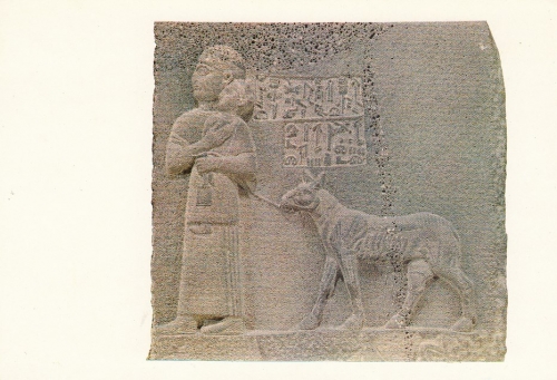 Königin Tuwarisas - Museum Ankara ngl E0319
