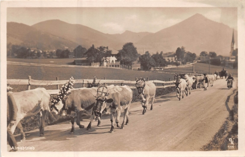 Almabtrieb ngl 159.757