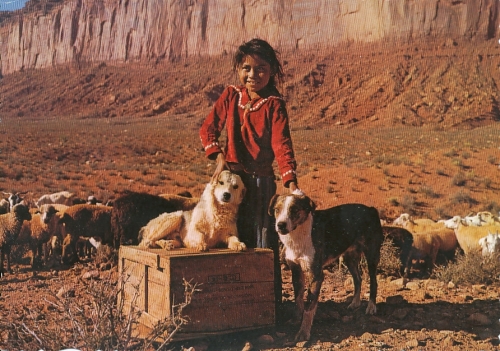 Indianer: Navajo Country Kind mit Hunden ngl 110.487