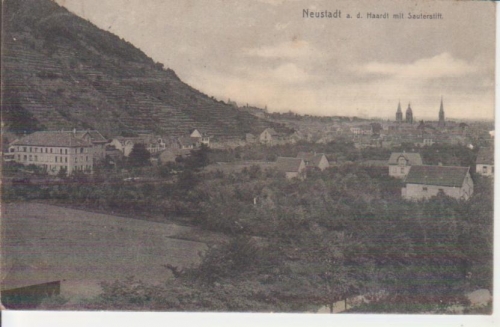 Neustadt an der Haardt - Panorama mit Sauterstift gl1910 225.884