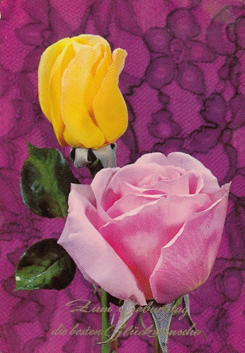 Geburtstag-Wünsche mit Rosen glum 1960? E2283