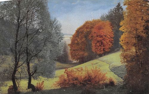 Partie in Wiesen und Wäldern ngl 170.279
