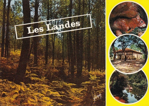 Les Landes, Côte Aquitaine ngl E2547