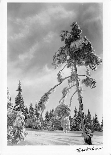 Winterlandschaft ngl 170.531