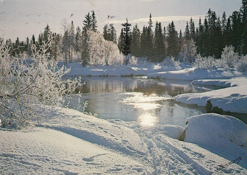 Vinter i Norge gl1977 E2596