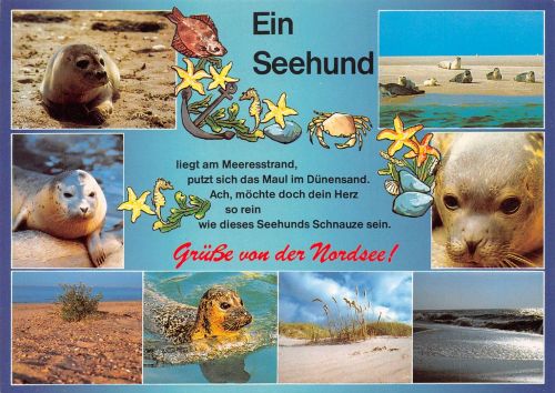 Seehund ngl 171.090