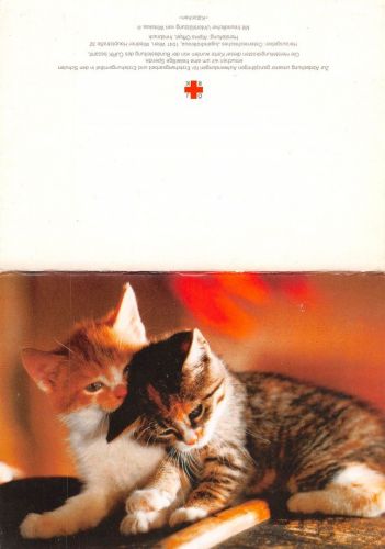 Zwei Katzen: Klappkarte ngl 171.143