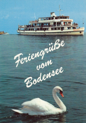 Schwan vor MS Schwaben im Bodensee ngl E3956