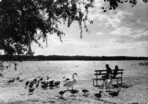 Werder/Havel Glindower See am Zeltplatz Riegelspitze gl1979 172.086