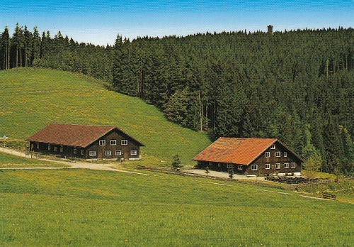 Alpe Wenger Egg bei Wengen im Allgäu ngl E5652