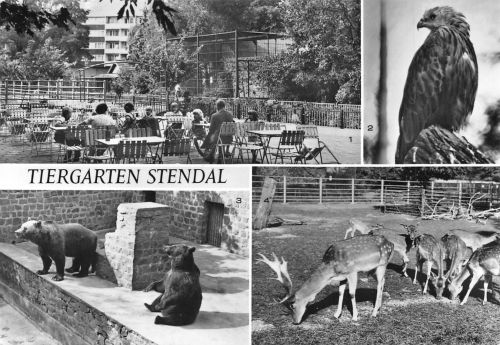 Stendal Tiergarten gl1985 173.278