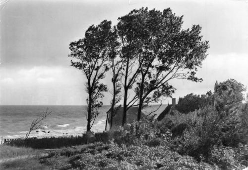 Ahrenshoop Häuser am Meer gl1971 173.915