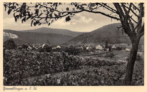 Gimmeldingen a.d.W. Panorama ngl 174.484