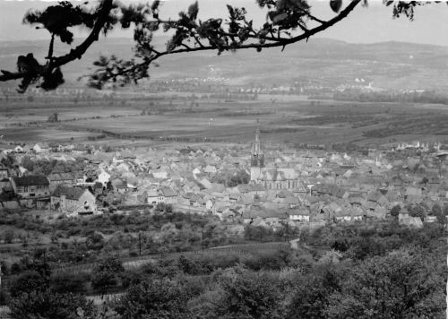 Gau-Algersheim Panorama ngl 174.639