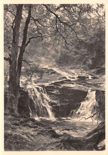 HDK 596 E. H. Compton, Die junge Elbe ngl 176.343