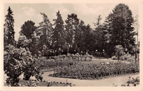 Sangerhausen Rosarium gl1958 177.330