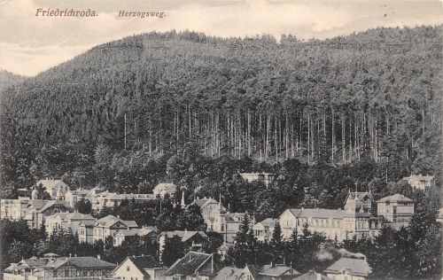 Friedrichroda Herzogsweg ngl 178.809