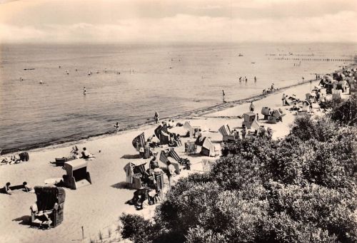 Poel Schwarzer Busch ngl 181.953