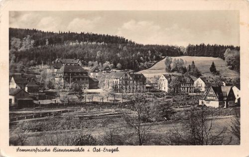 Bienenmühle Gesamtansicht gl1955 182.263
