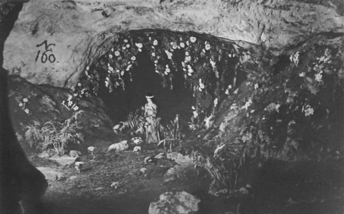 Walldorf (Werra) Sandsteinhöhle ngl 183.130