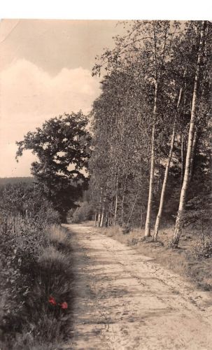 Bad Klosterlausnitz Waldweg gl1965 184.158
