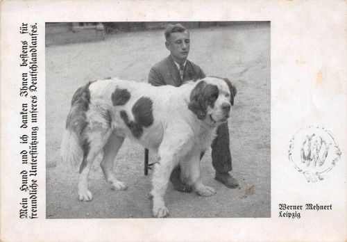 Leipzig Werner Mehnert Deutschlandlauf mit Hund Foto ngl 185.268