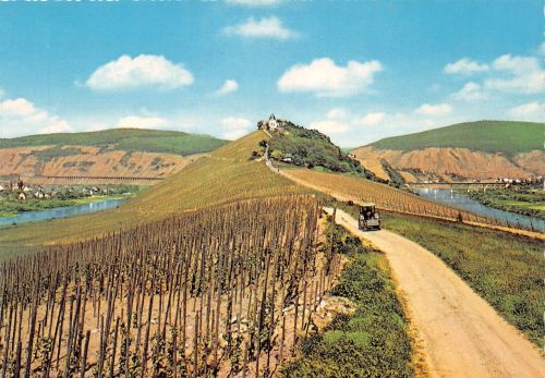 Zell a.d. Mosel Moselschleife mit Marienburg ngl 186.222