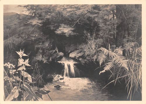 HDK 397 Willy Kriegel Die Quelle feldpgl1943 186.800