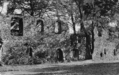 Grimma Klosterruine Nimbschen gl 187.277