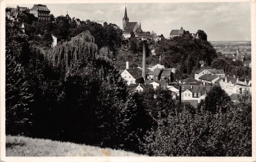 Leisnig Panorama Fotokarte gl1958 187.573