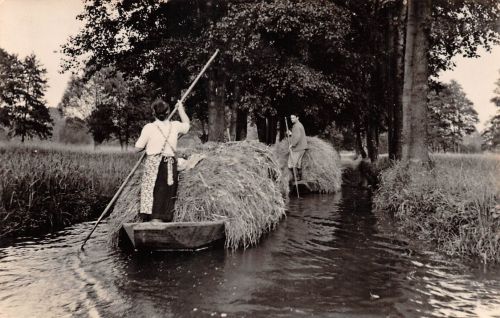 Spreewald Heueinfahren gl 187.848