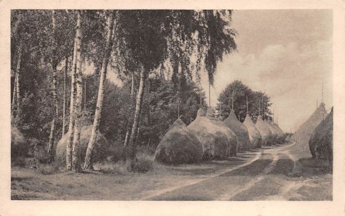 Straupitz Heuschober ngl 187.872