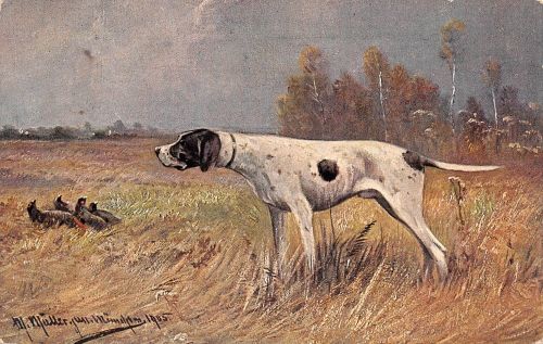 Tiere Hunde Künstlerkarte 1905 gl1910 188.102