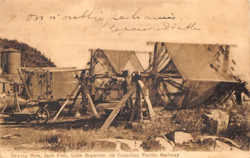 CDN Lake Superior Drying Nets Jack Fish gl1907 188.365