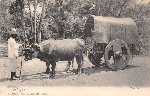 Mex Chiapaz Caretta ngl 188.587